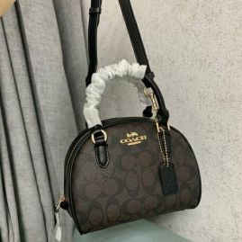 Picture of Coach Lady Handbags _SKUfw155981525fw